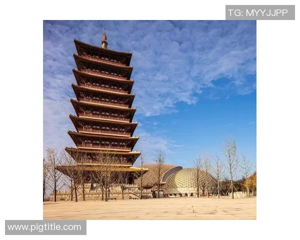 袁堂文：探索历史与文化交融的智慧之旅