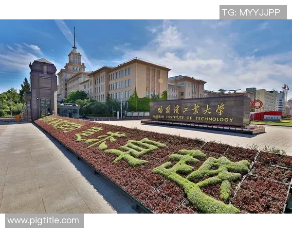 北京篮球队的奋斗历程与冠军赛背后的成长启示MBA