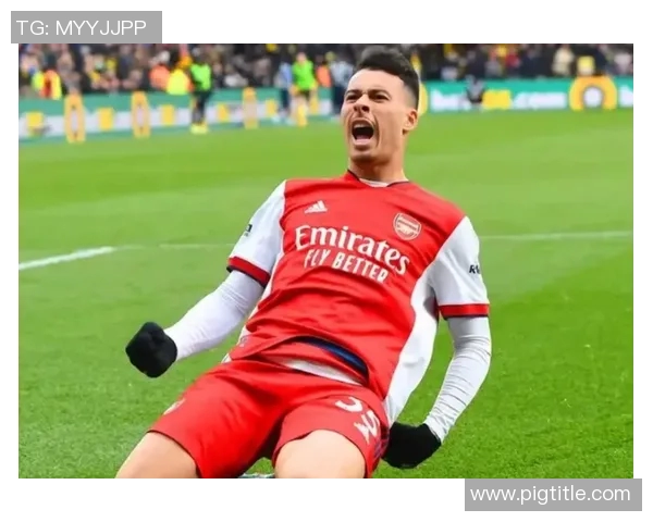 马丁内利：从青涩新星到足坛巨星的成长之路与未来展望