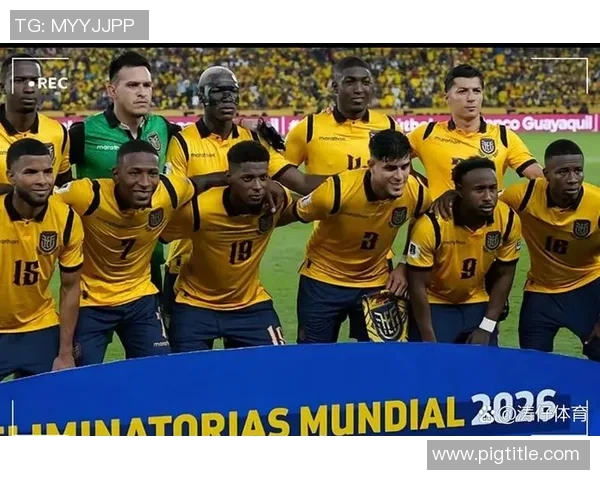 巴西与厄瓜多尔足球赛大名单分析及球员表现展望
