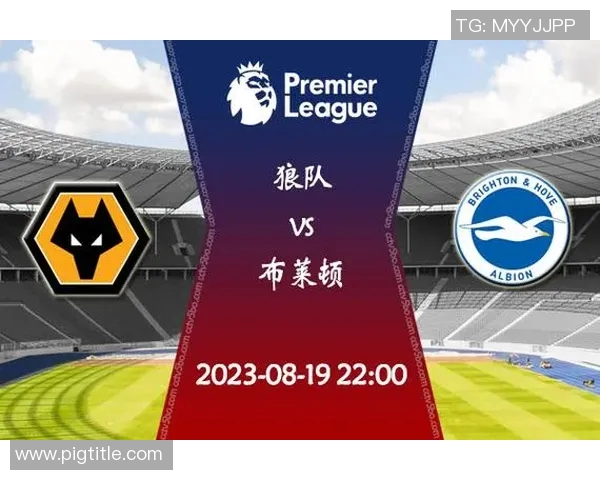 布莱顿对阵狼队赛事分析与推荐策略详解