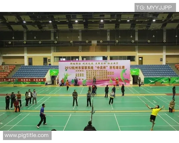 杭州羽毛球队区域防守策略解析及其在比赛中的应用探讨MBA