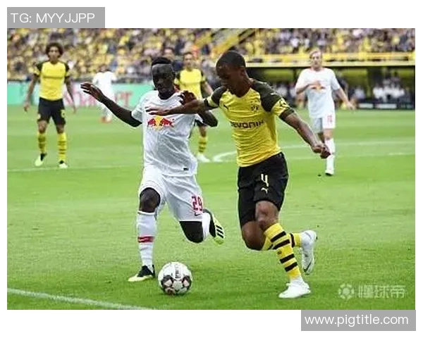 索肖对尼姆比赛结果揭晓分析及未来展望