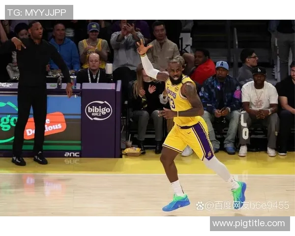 詹姆斯：从篮球传奇到全球偶像的辉煌旅程与影响力解析