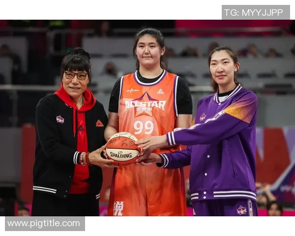 篮球明星奶奶的传奇人生与篮球梦想的传承之路